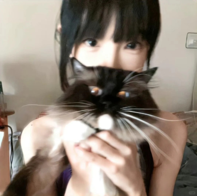 抱猫头像♡几寻