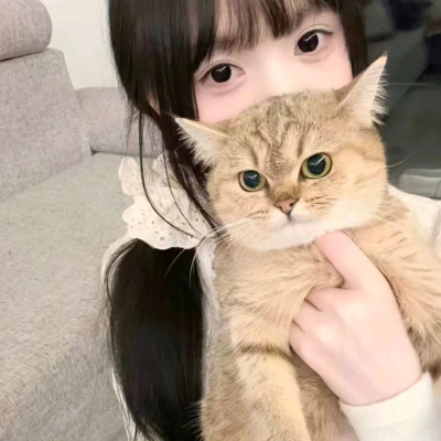 抱猫头像♡几寻