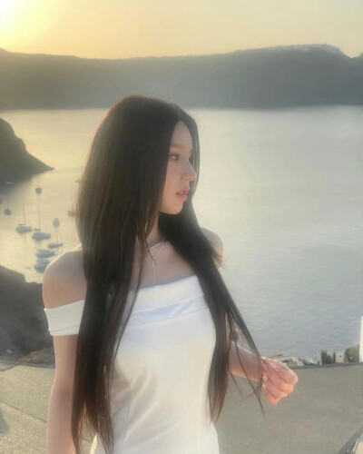 田姬振