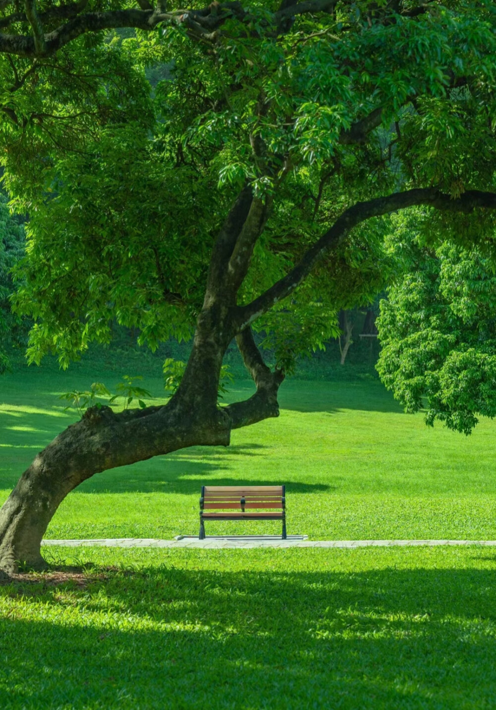 绿色系背景图生命力背景图