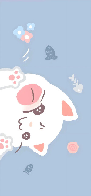 壁纸