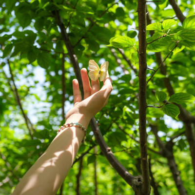 绿色系背景图 生命力背景图