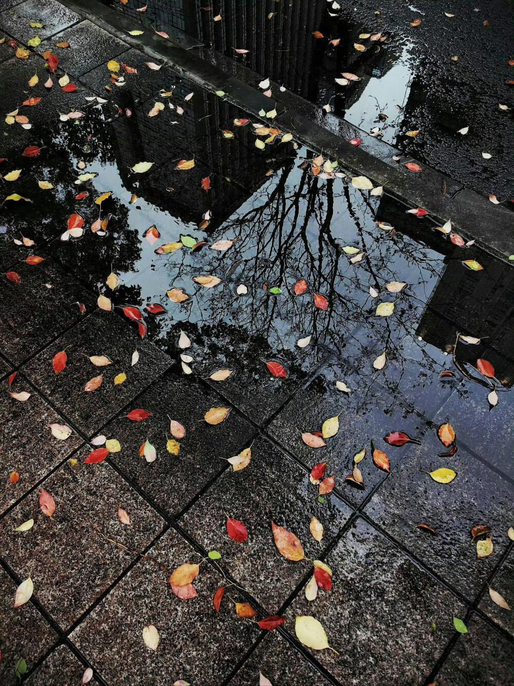 雨天。