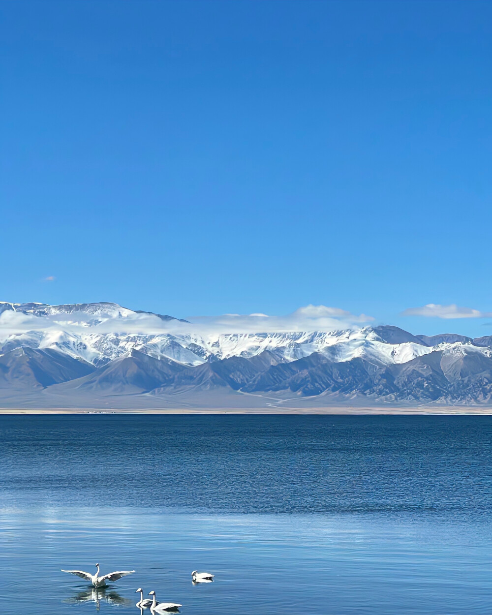 风景图