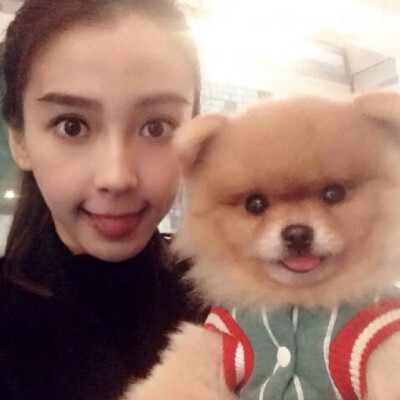 Angelababy