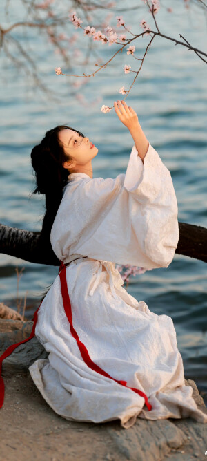 汉服
我醉欲眠卿且去，明朝有意抱琴来。
画中仙:@李钰_ayu