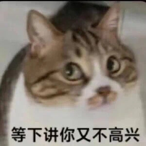 表情包