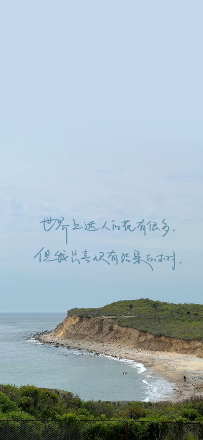 20240917手写壁纸
·
世界上迷人的花有很多,但我只喜欢有结果的树
·
不摘别人的花,只陪对的人长大
·
爱情不是终点,陪伴才是归宿
·