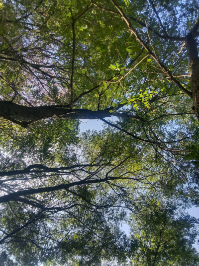 风景