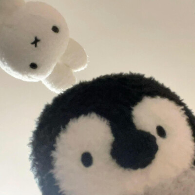 可可可爱情头