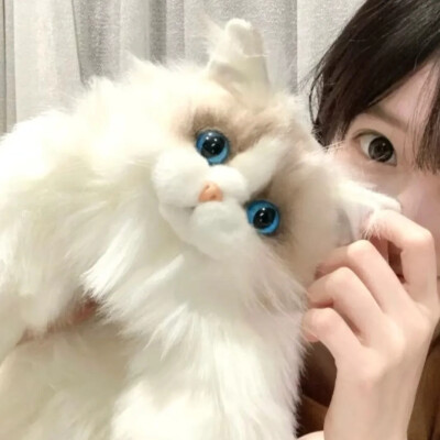 小猫情头´•ﻌ•`