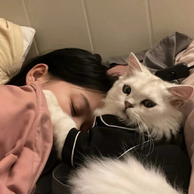 小猫情头´•ﻌ•`