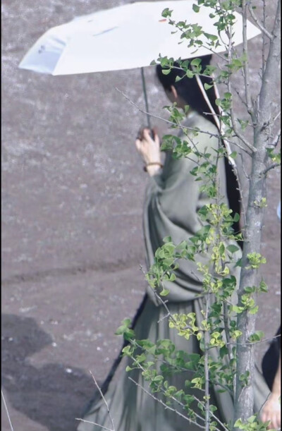 奇异果