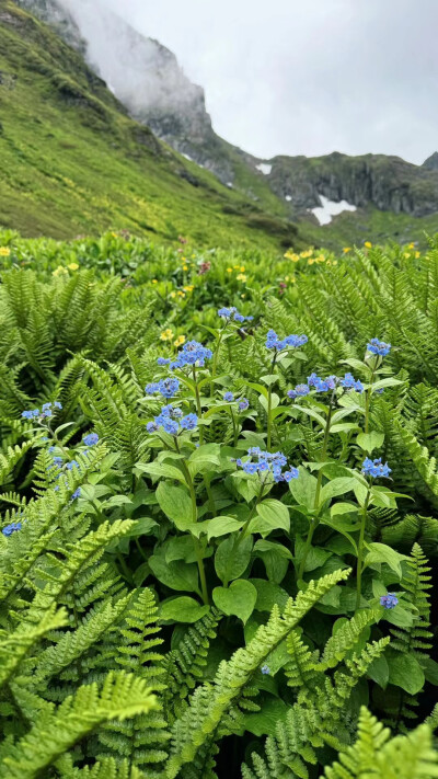 风景壁纸