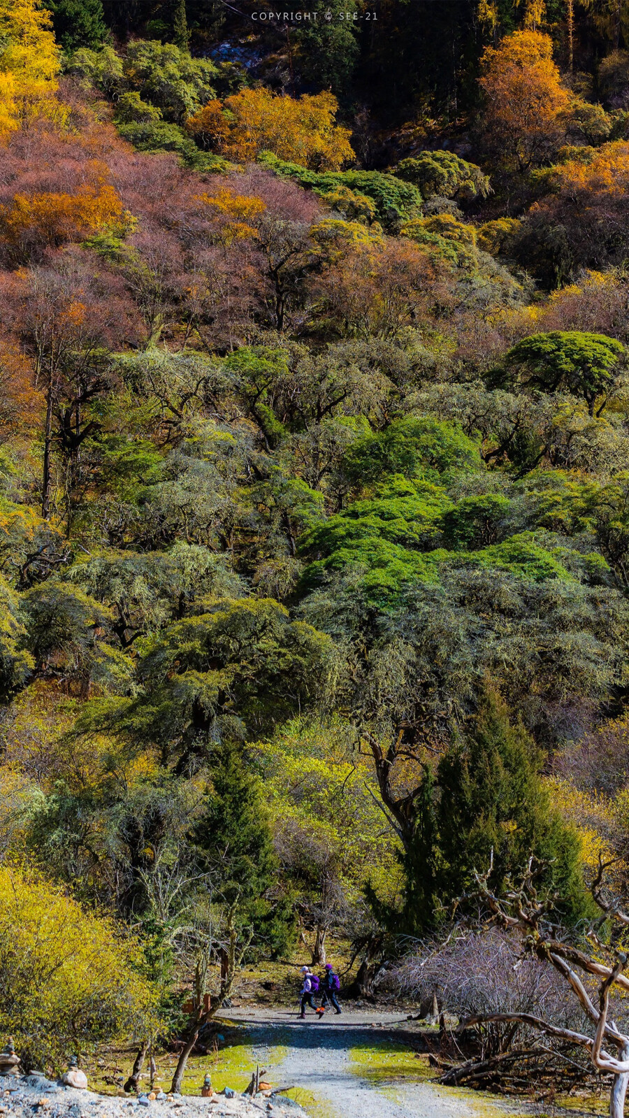 川西的每一处风景，都是大自然的杰作，
每一个瞬间，都值得被珍藏。