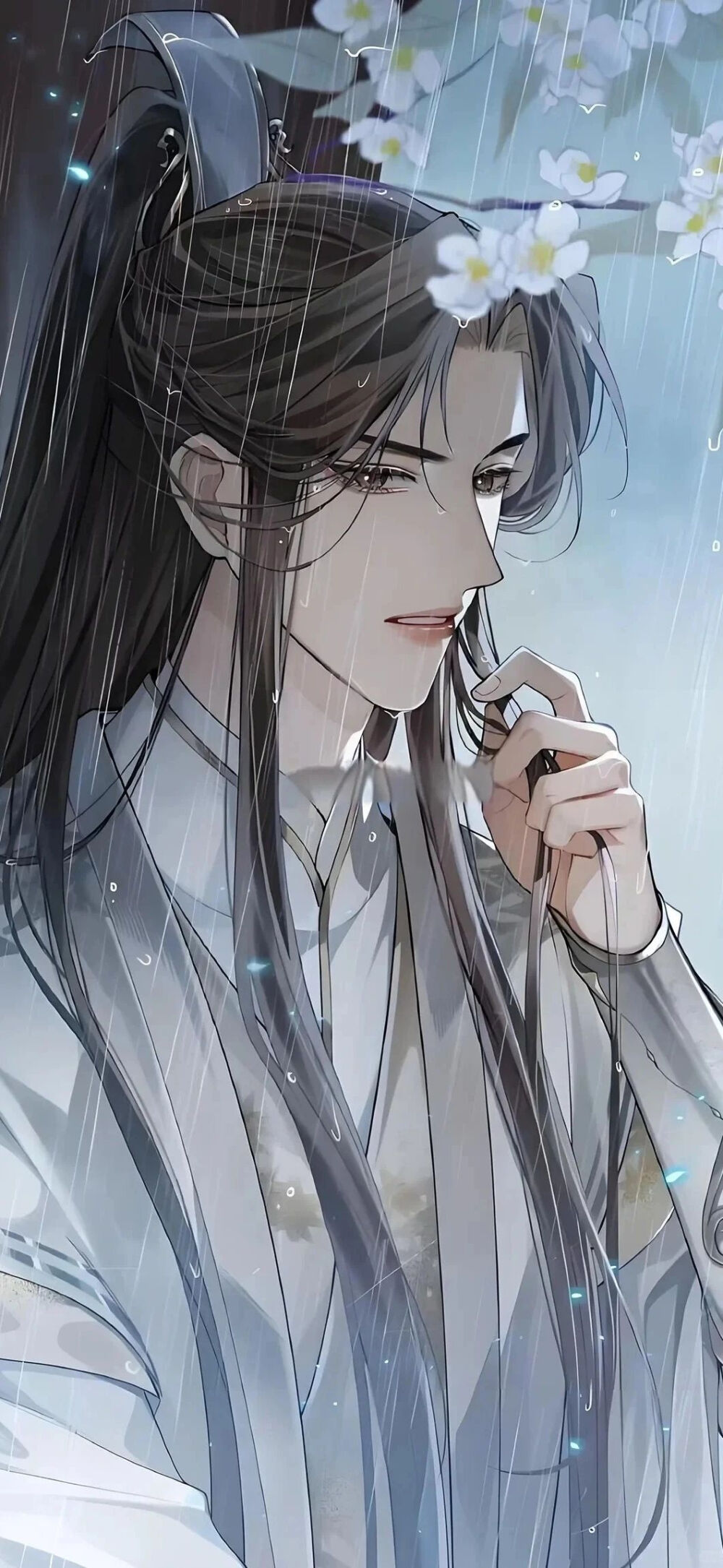 二哈和他的白猫师尊