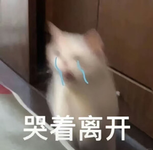 表情包