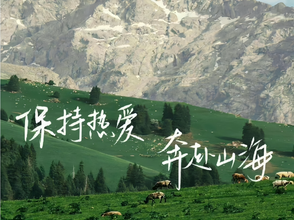 文字背景