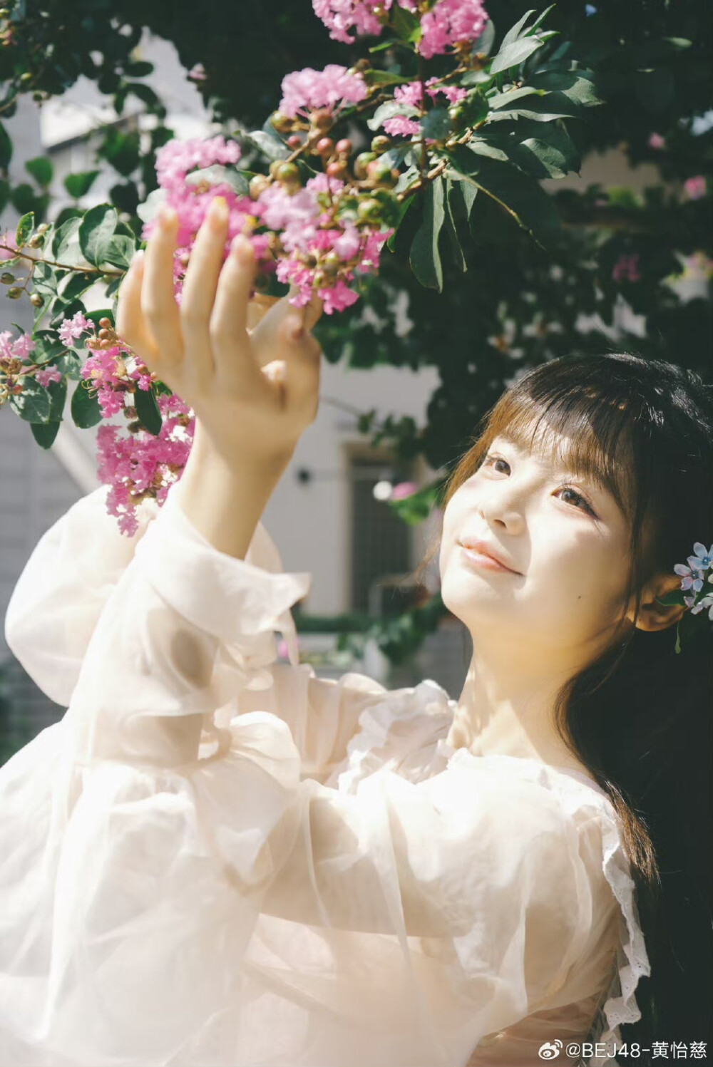 魔法少女黄怡慈