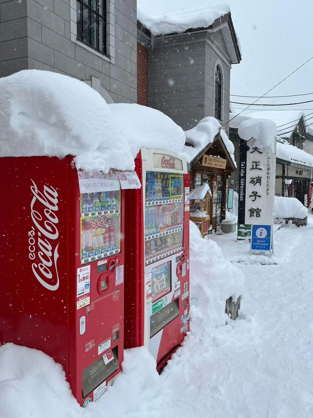 期待雪天