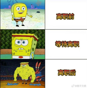 讲正事：必备表情包