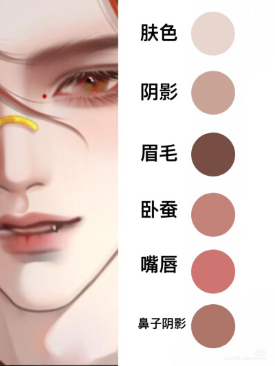 色卡