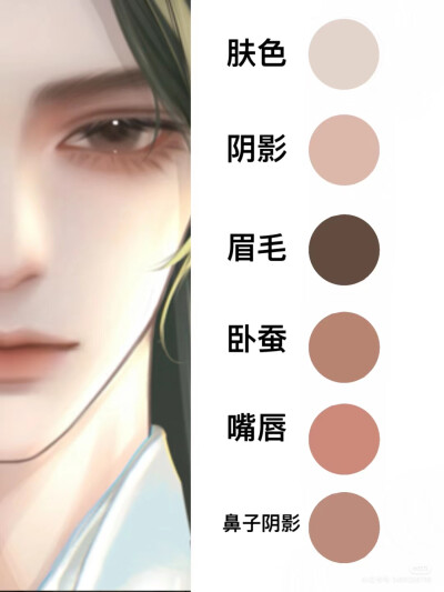色卡