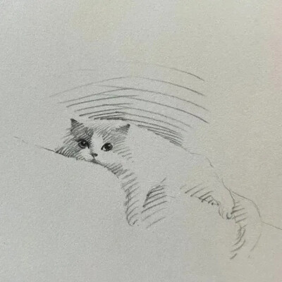 素描猫狗