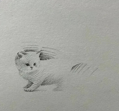 素描