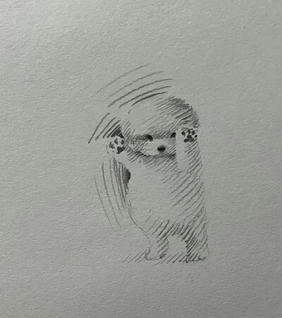 素描猫狗