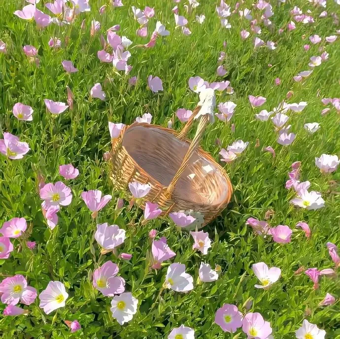 只愿君心似我心 定不负相思意
花朵背景图 侵权删