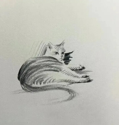 素描猫狗