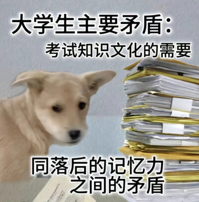 我再也不学医了