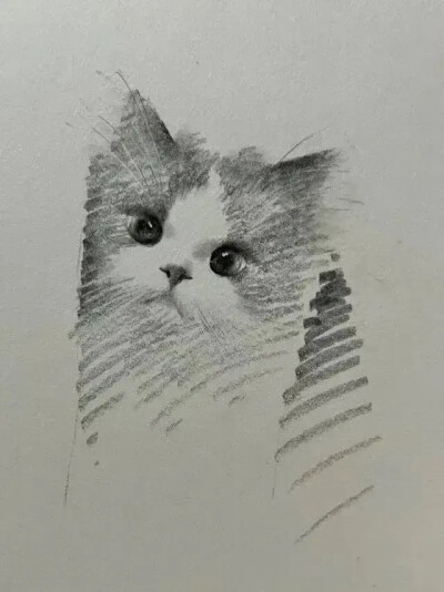 素描