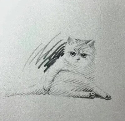 素描猫狗