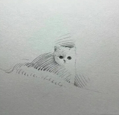 素描猫狗