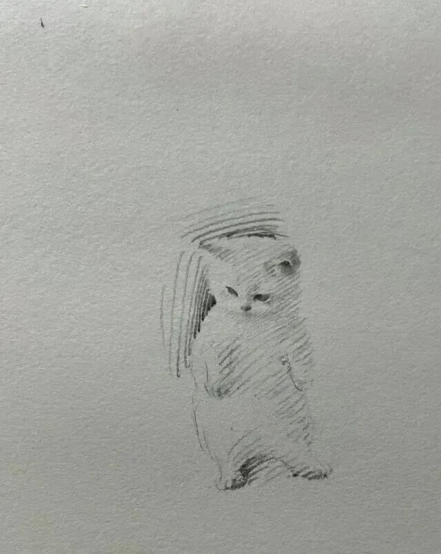 素描猫狗