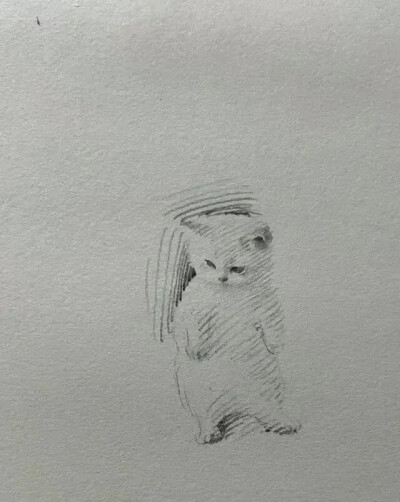 素描猫狗