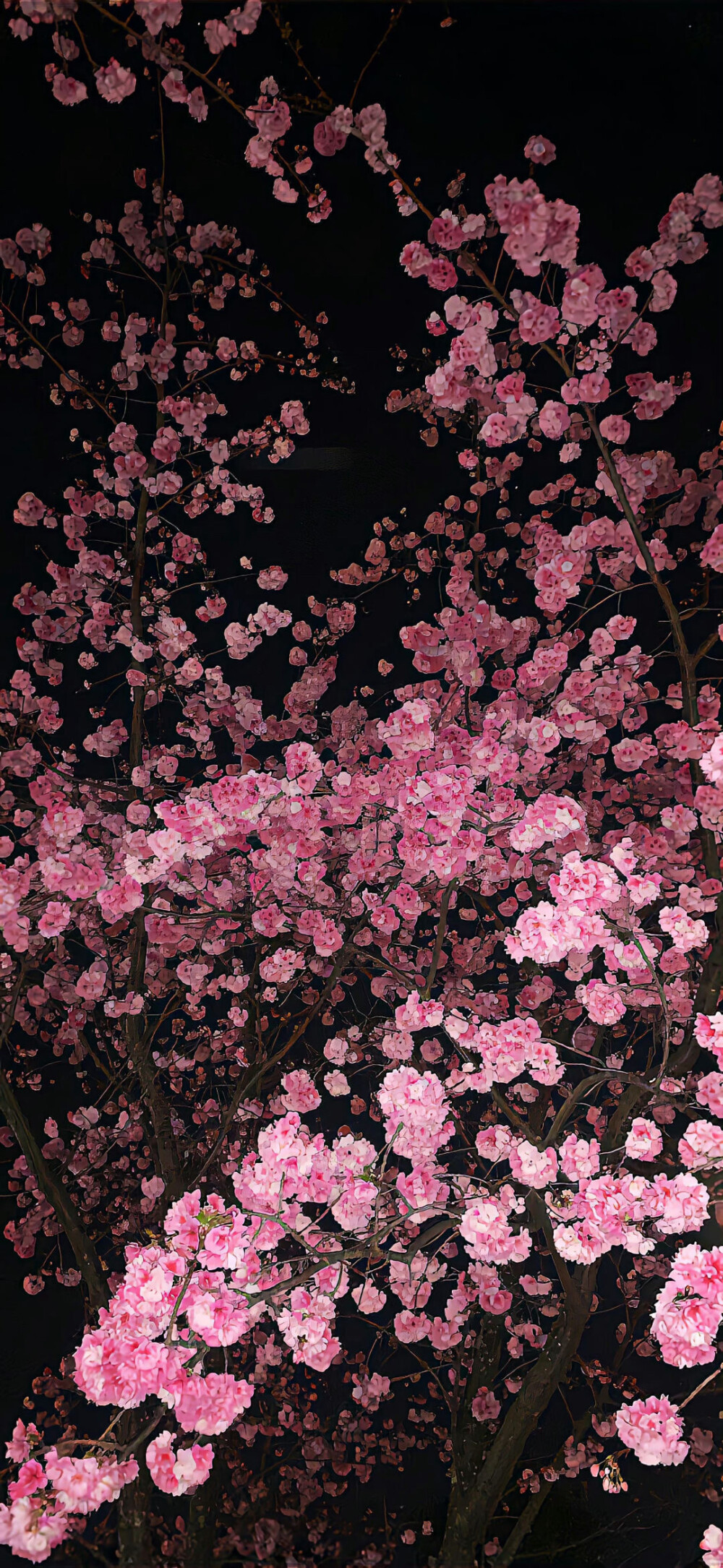 壁纸