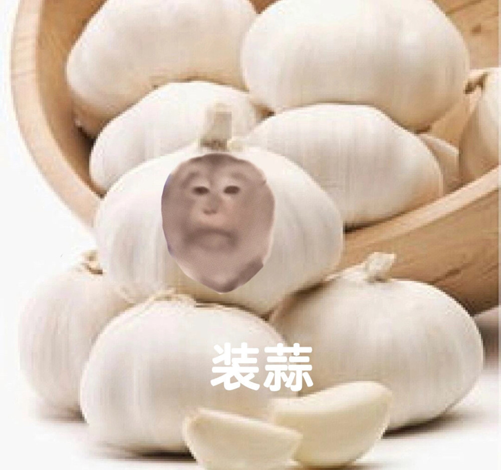 表情包