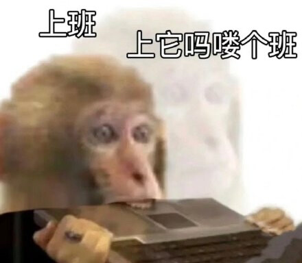 吗喽表情包