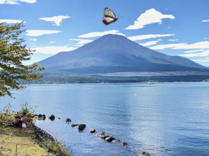 只有日本 富士山