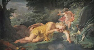 Nicolas-Bernard Lépicié Narcissus transforms into a flower 1771

