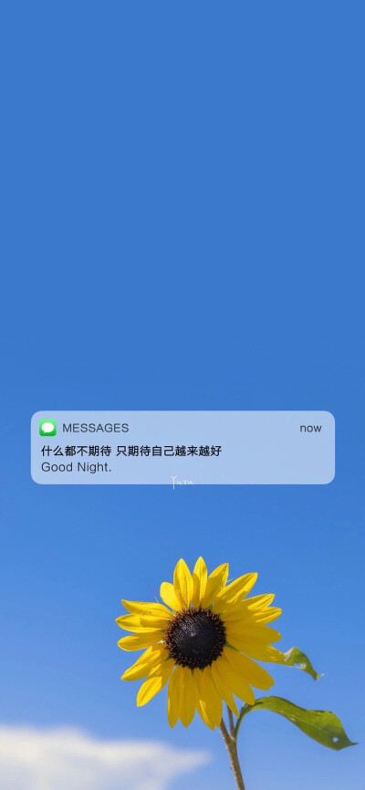 壁纸 蓝