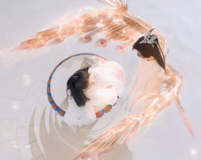 禹司凤