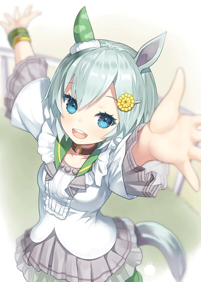 赛马娘 青云天空/星云天空
