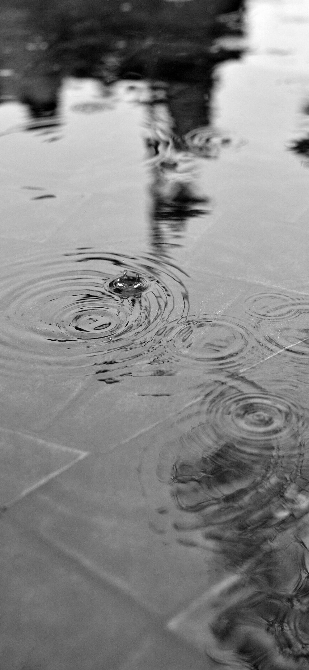 雨风景壁纸