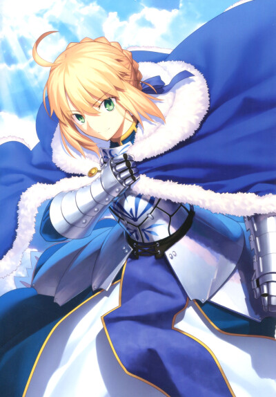 爱妻 saber