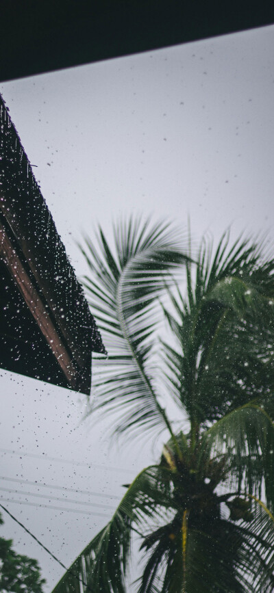 雨风景壁纸