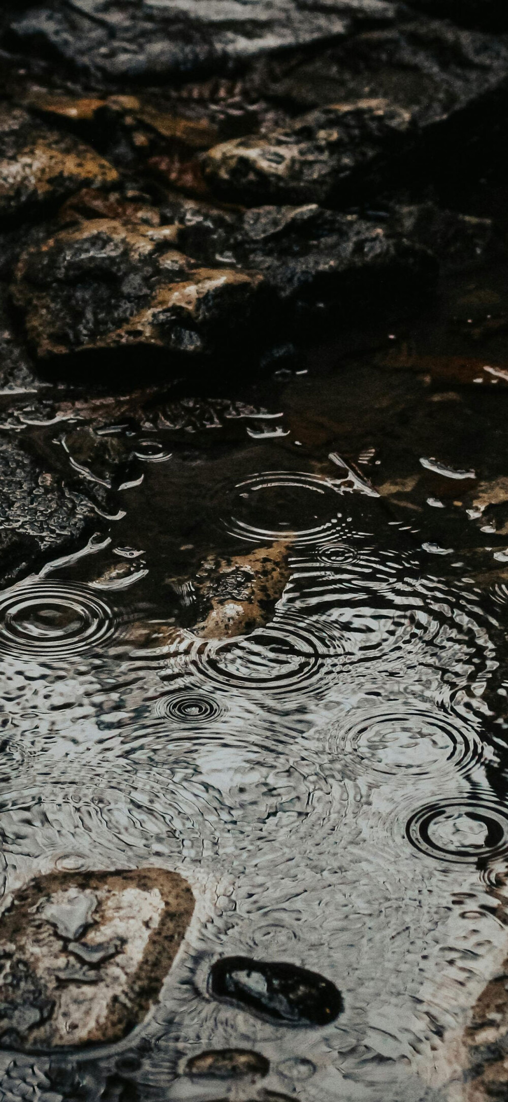 雨风景壁纸